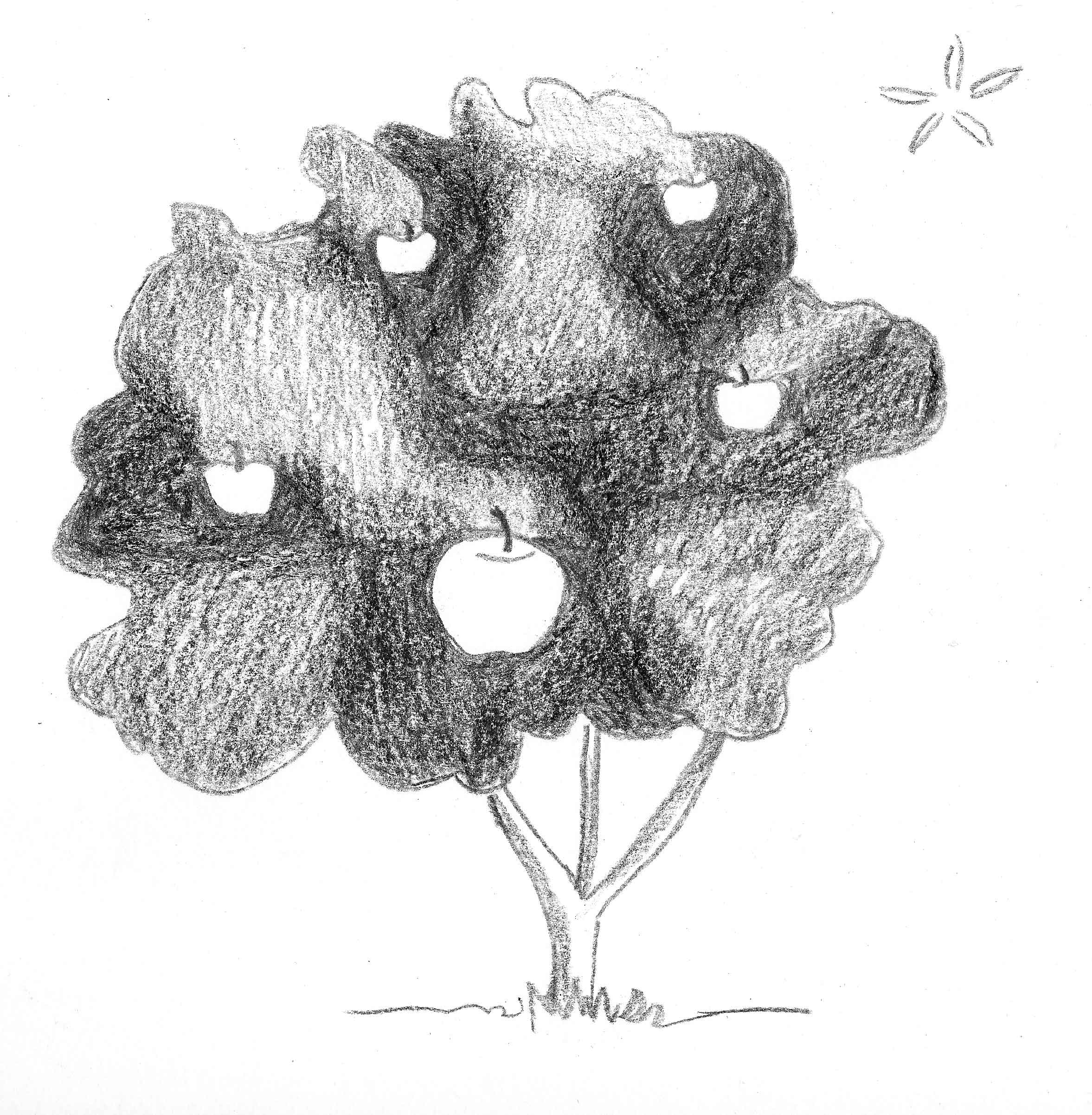 El conte. La poma que volia ser una estrella