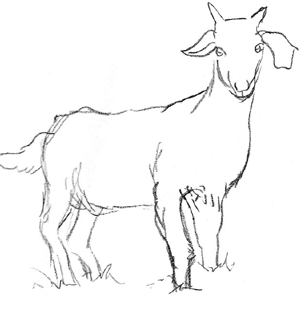 El conte. El cabridet