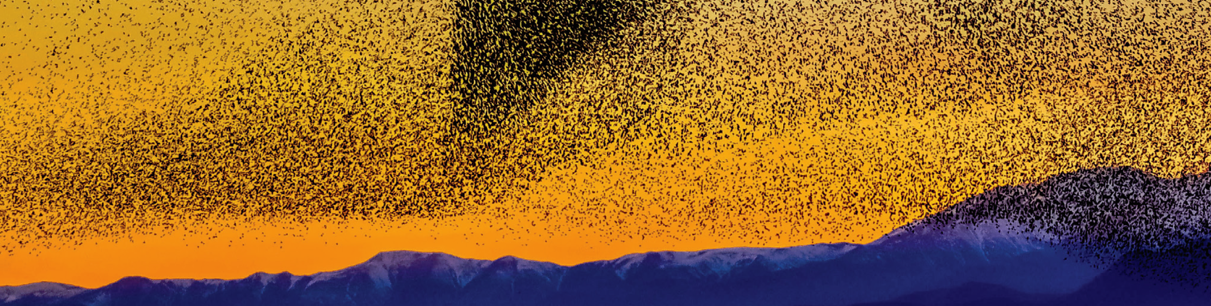 Monogràfic. Aires de poesia a l’escola Propostes didàctiques per impregnar les aules de versos