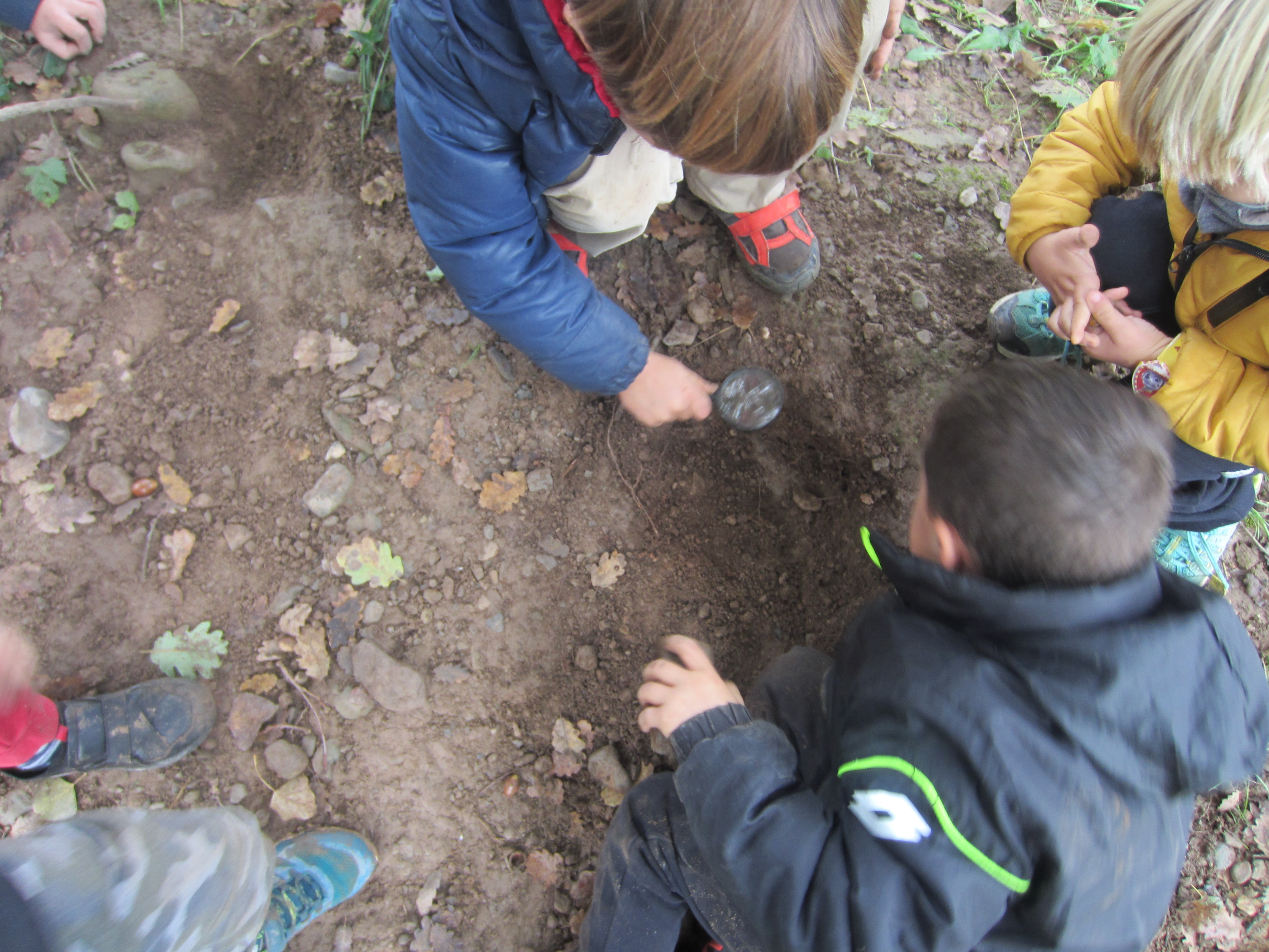 Escola 3-6. El moviment dels caragols