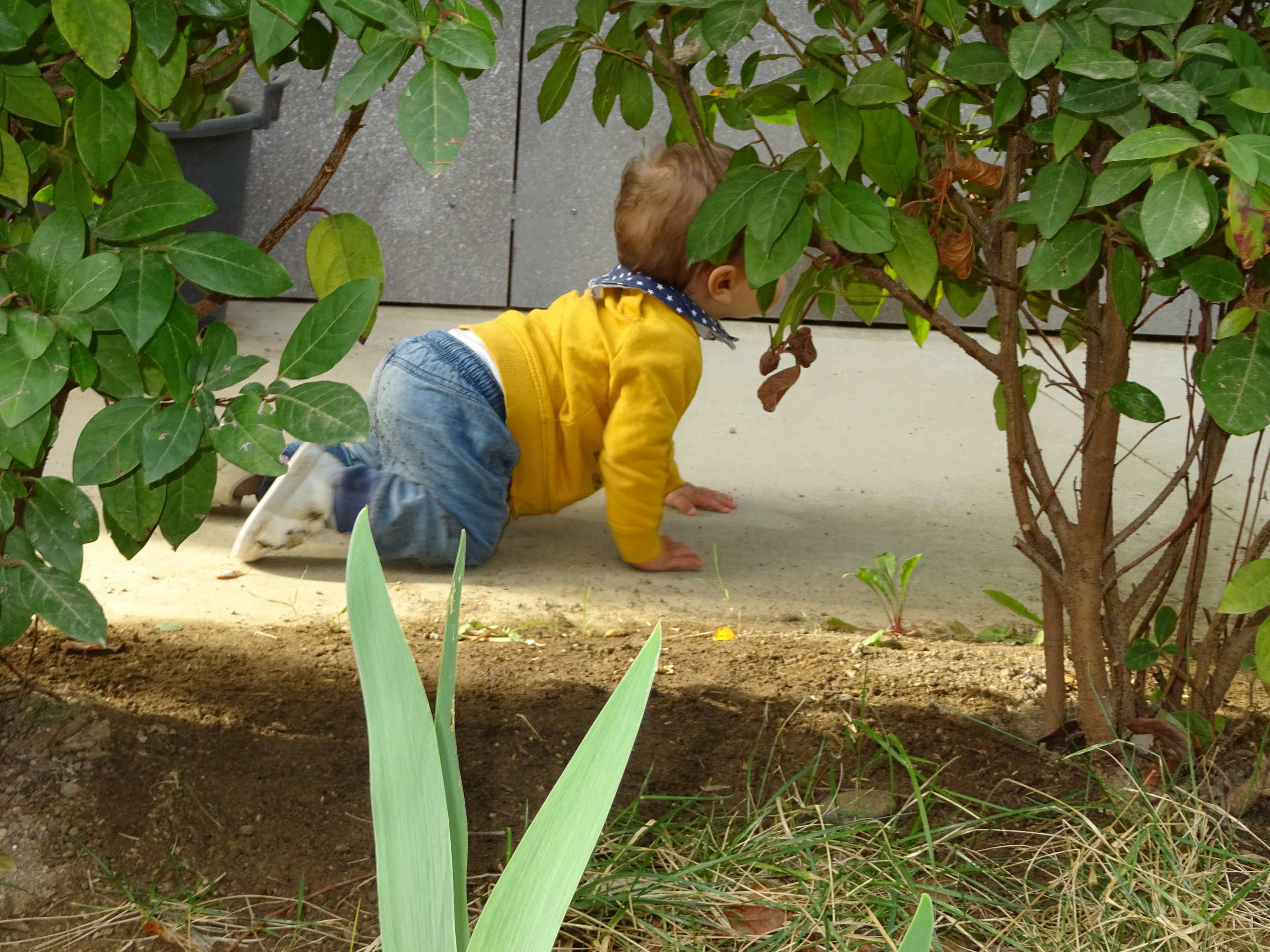 Qué descubrimos, qué creamos. Qué pasa en el jardín