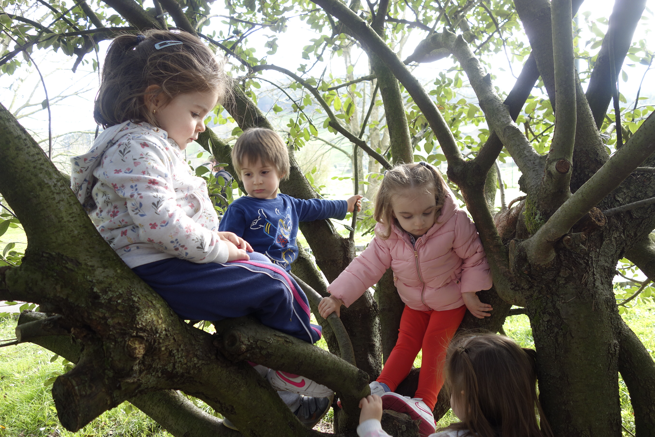 Página abierta. Como pájaros