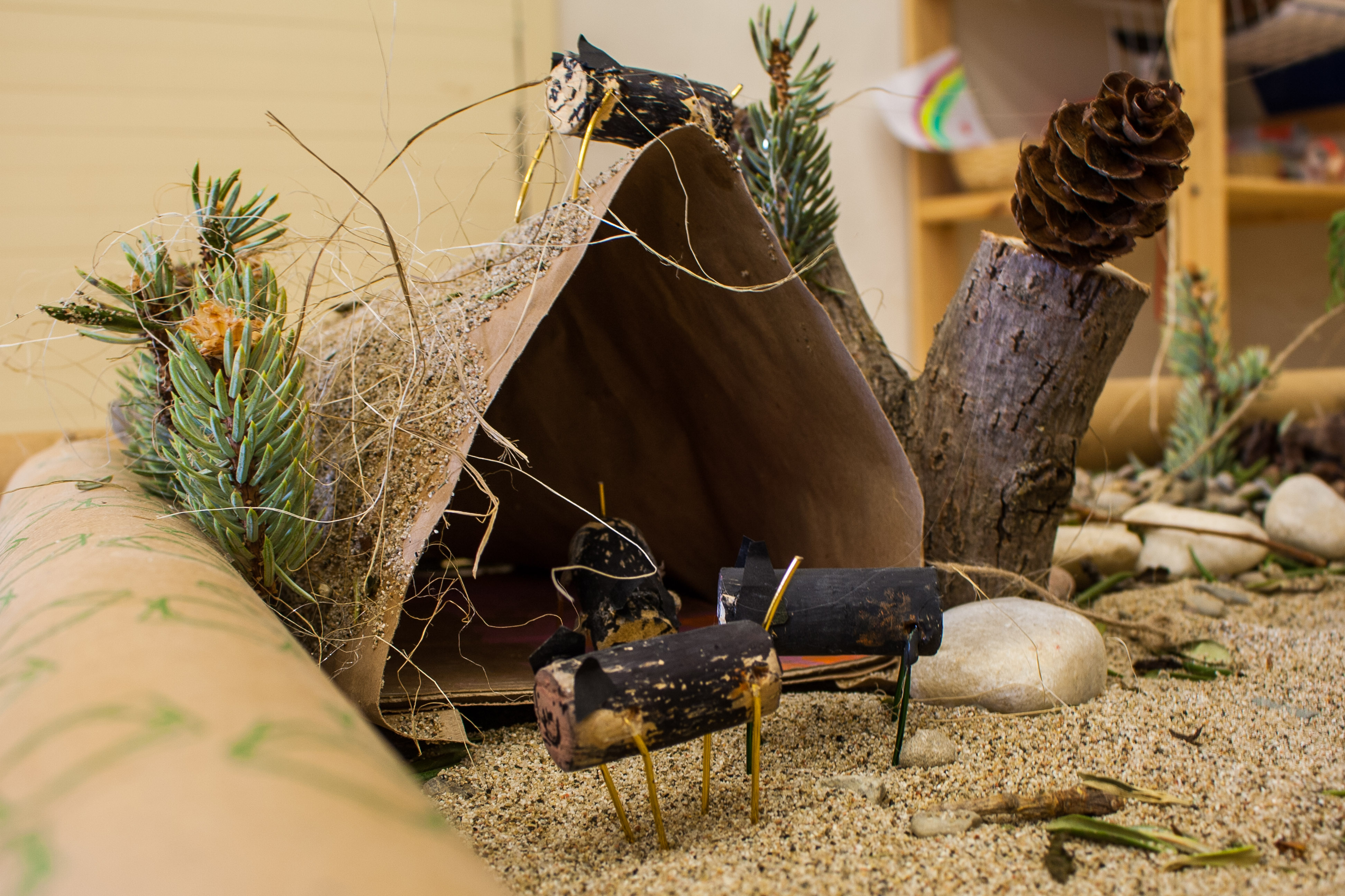 Qué descubrimos, qué creamos. Un bosque mágico y encantado que surge junto a niños y niñas