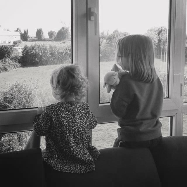 Página abierta. ¡Quédate en casa y verás lo que pasa!