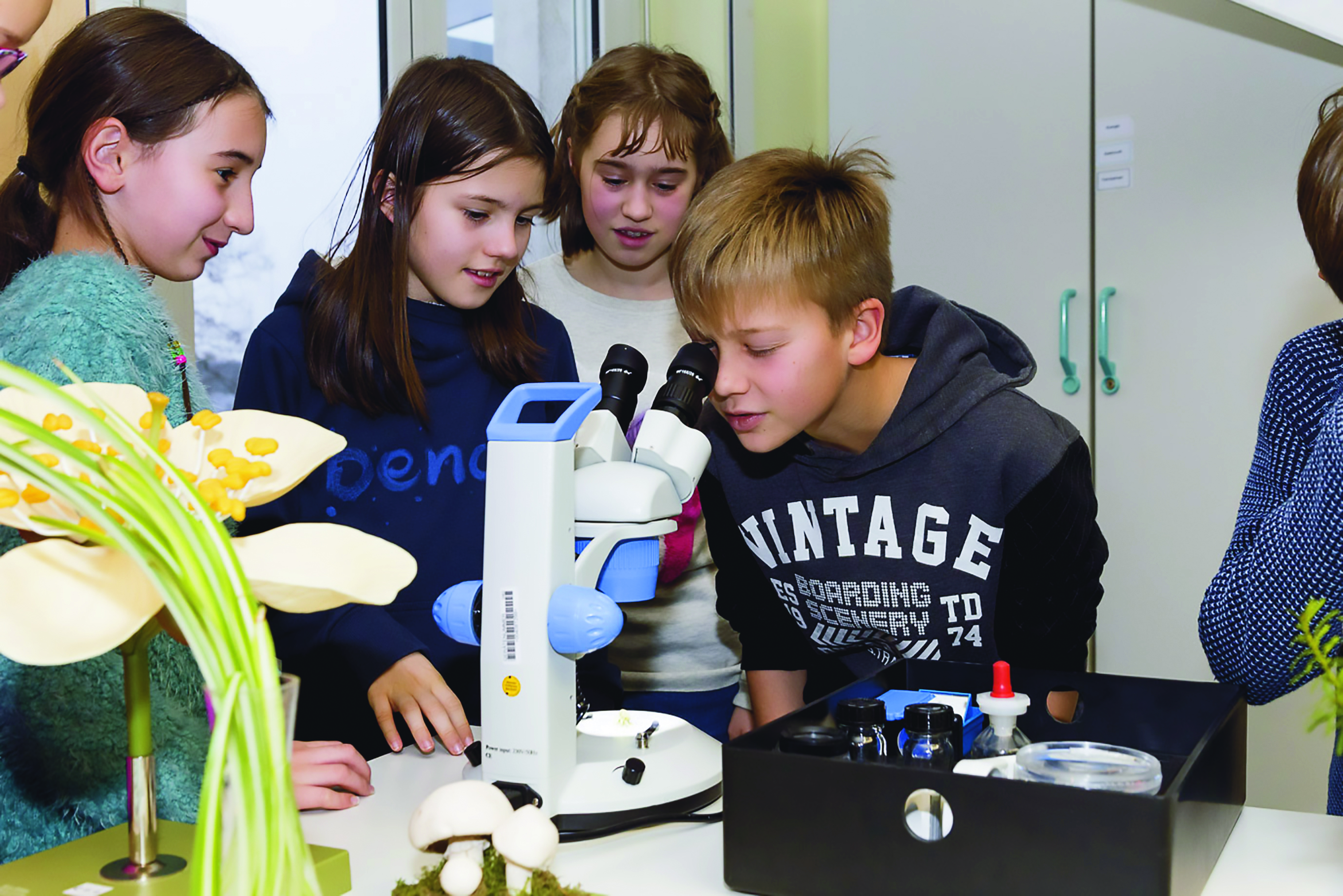 Observatori internacional. L'educació a Alemanya