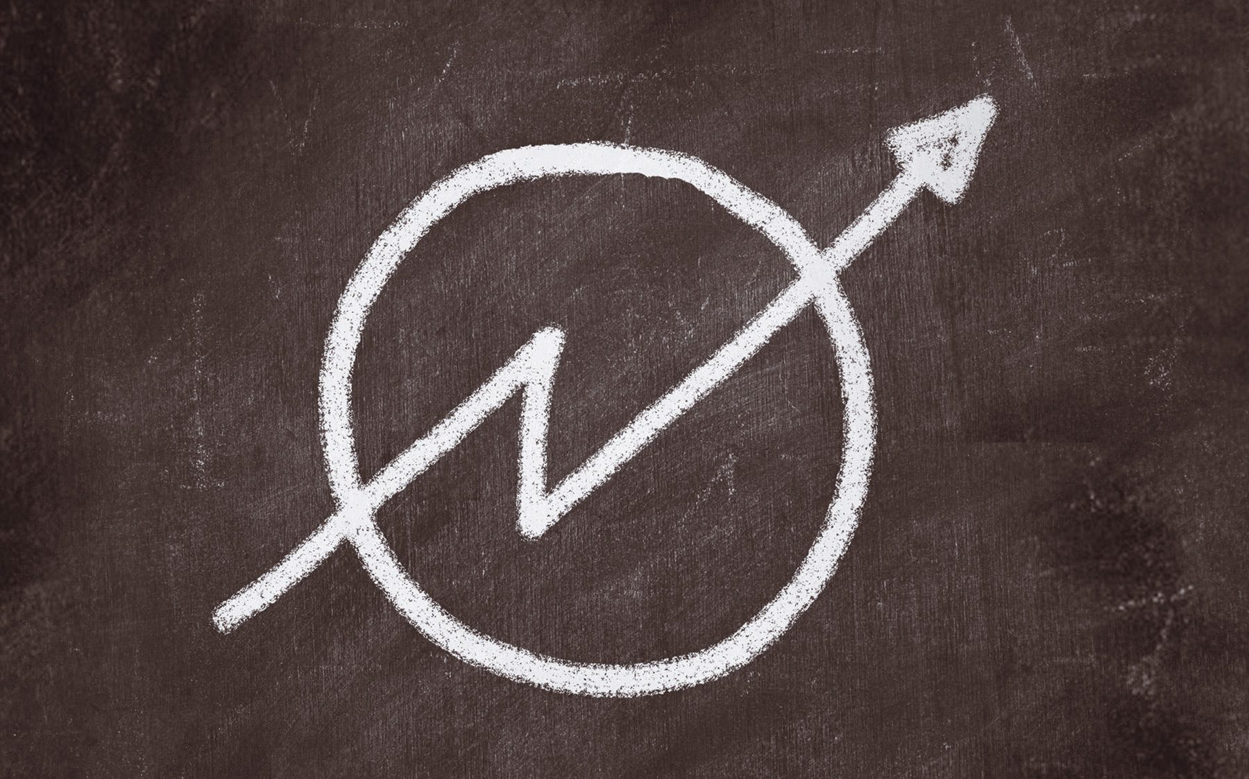 Reportatge. Okupes a l'escola