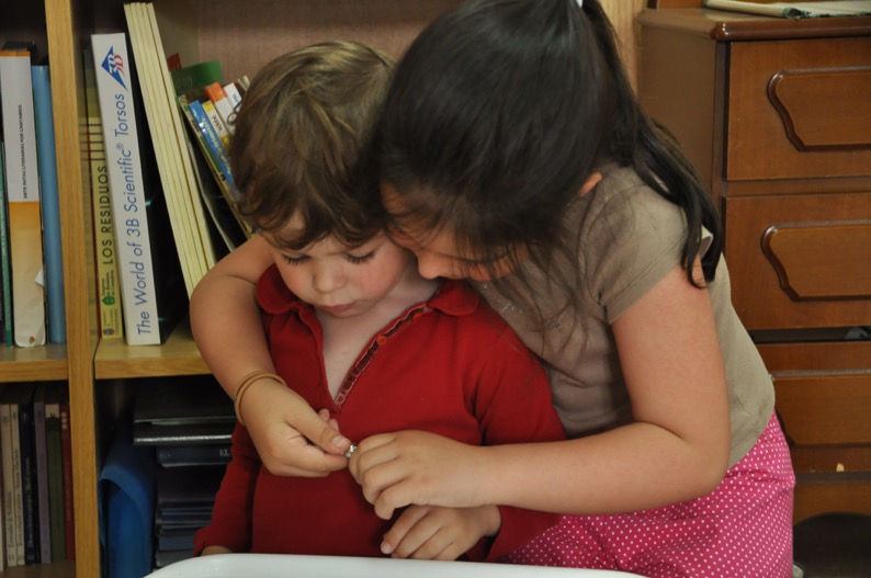 ¿Que maestros necesitamos?