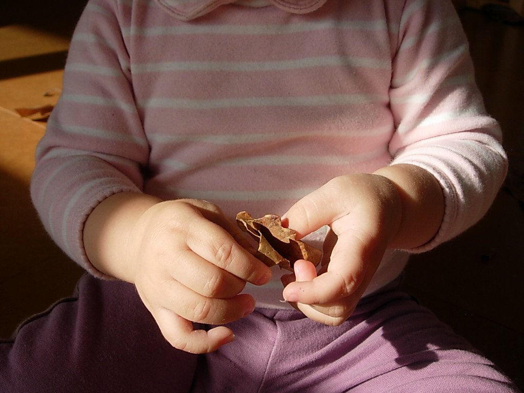 De las políticas a la escuela. La educación es siempre un discurso político