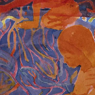 Escoles/Universitats amigues i col·lectius