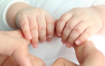 L’actitud de l’adult en la cura de l’infant: cercant detalls de la nostra pràctica educativa en el marc de l’escola bressol (amb el Seminari de reflexió Pikler-Lóczy)