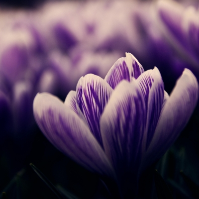 En aquest 25 N, davant la violència masclista, educació feminista